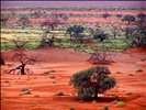 Sossusvlei Landscape